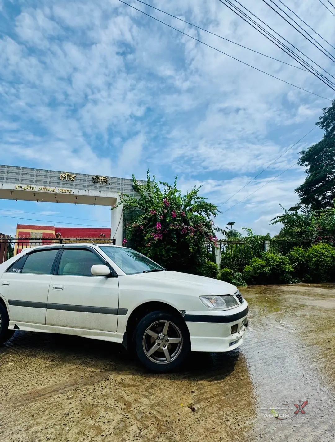 Corona premio 2000