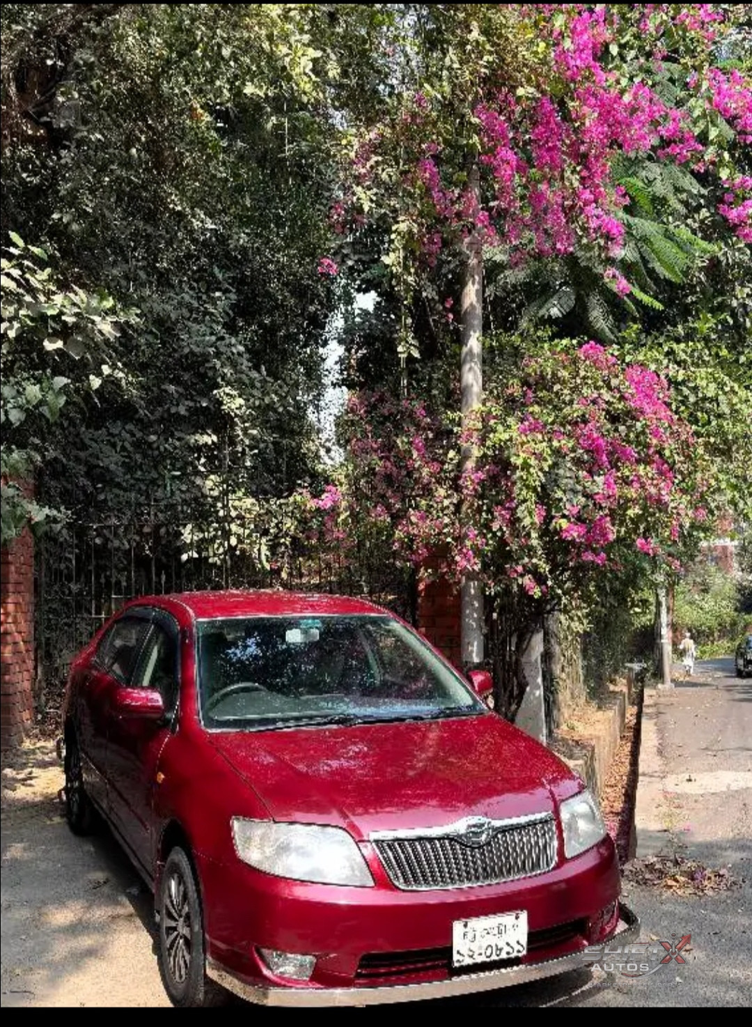 Toyota X Corolla