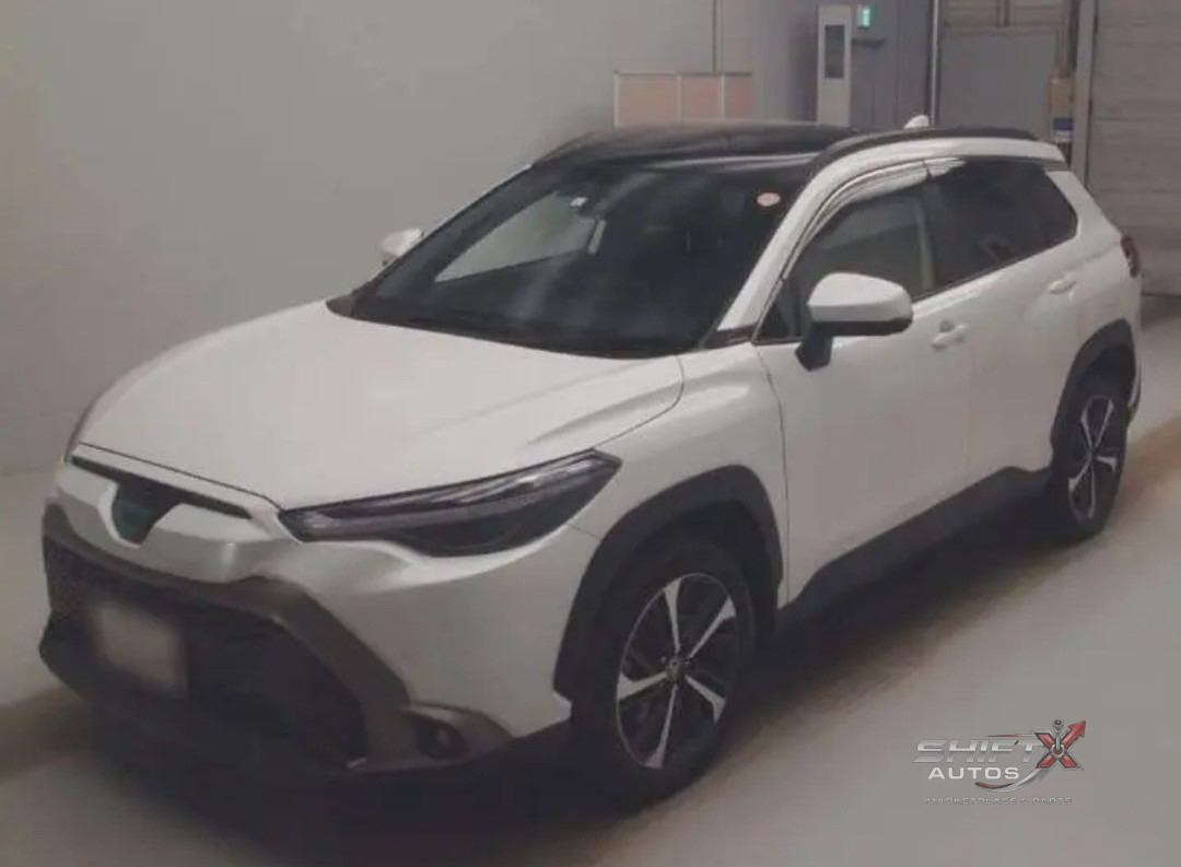 Cross Z PKG 2023
