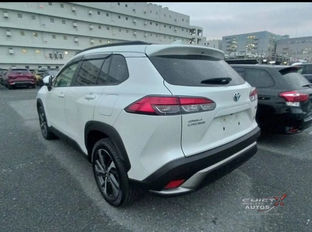 Cross Z PKG 2023